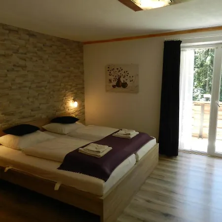 Pension und Appartements Hartkaiser-2